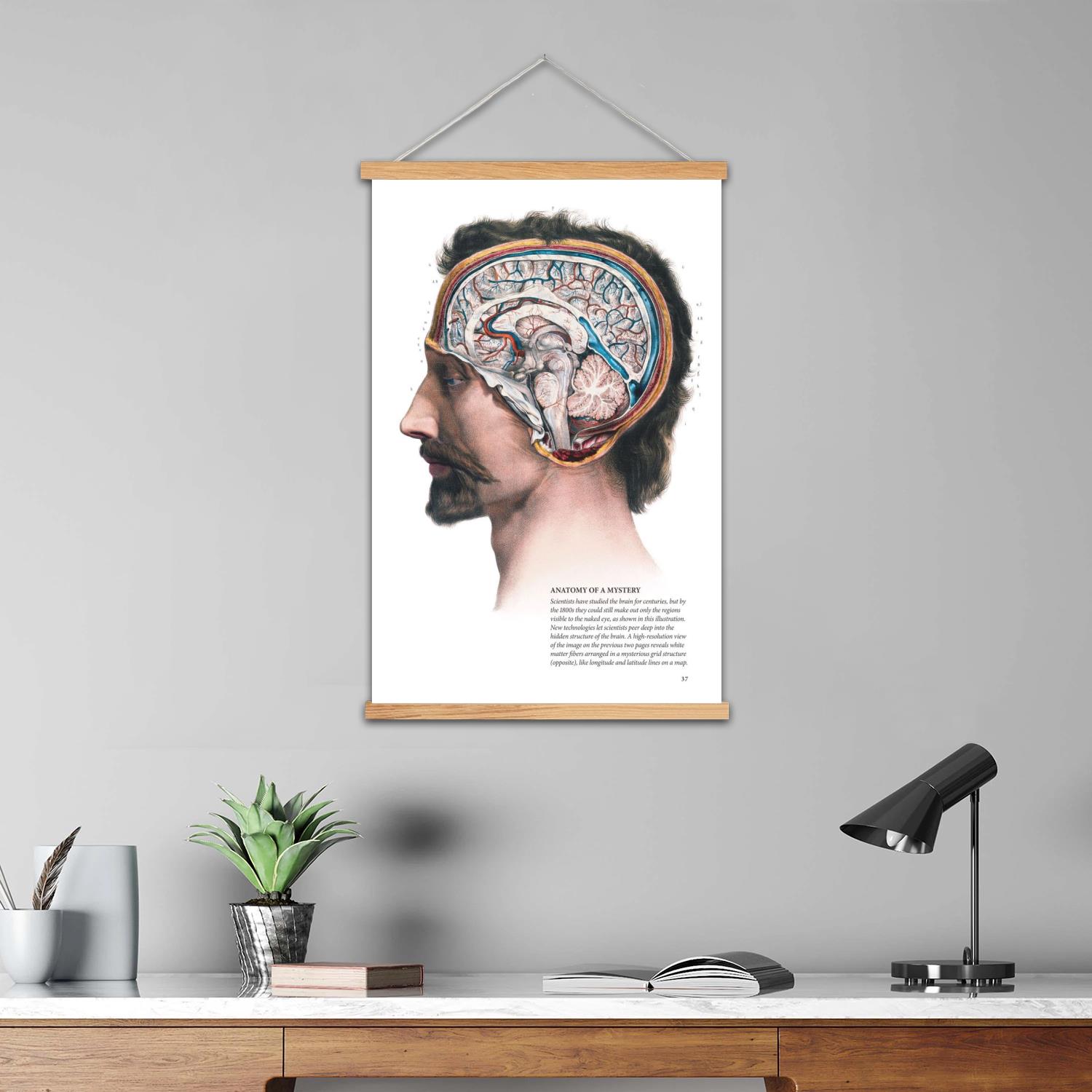 hersenen ingelijste muurschild - Art Print Framed recensie en prijs