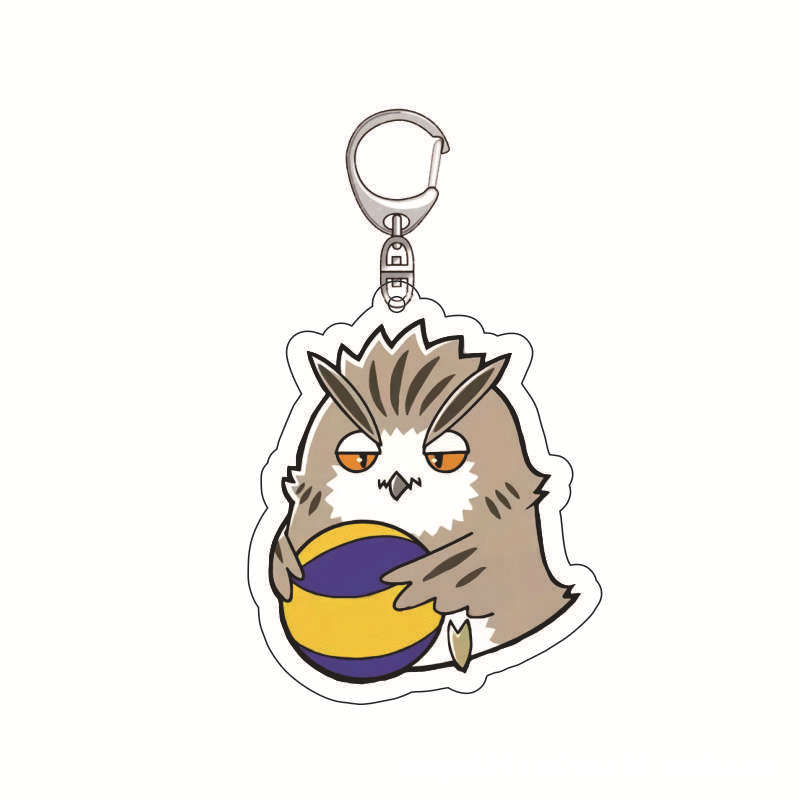 Haikyuu Anime Sleutelhanger Vo - Anime Merchandise Haikyuu recensie en prijs