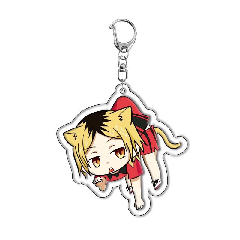 Haikyuu!! Hinata Shoyo Acryl S - Anime Merchandise Haikyuu recensie en prijs