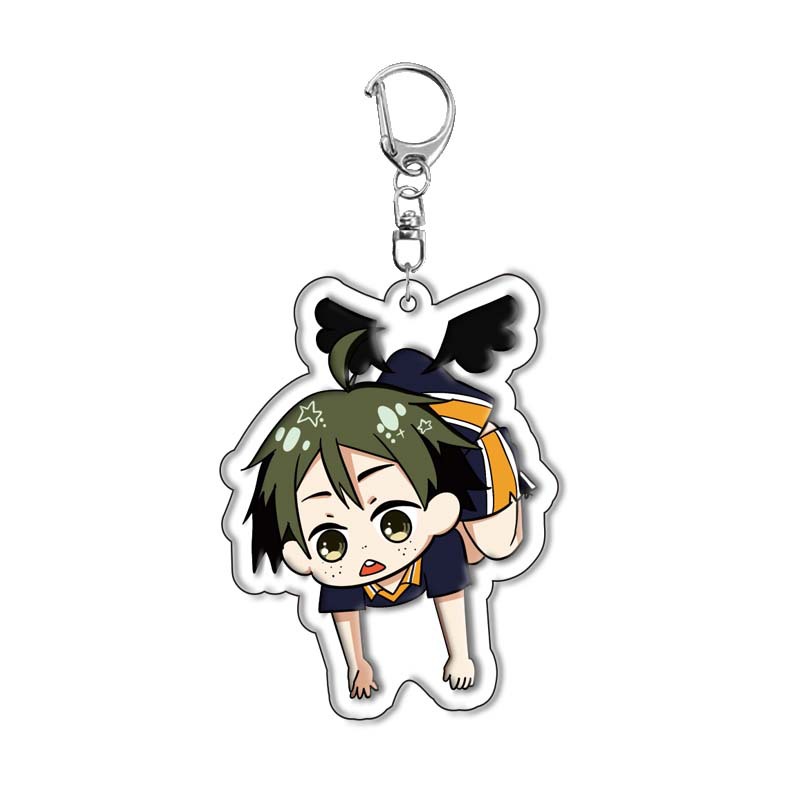 Haikyuu!! Hinata Shoyo Acryl S - Anime Merchandise Haikyuu recensie en prijs