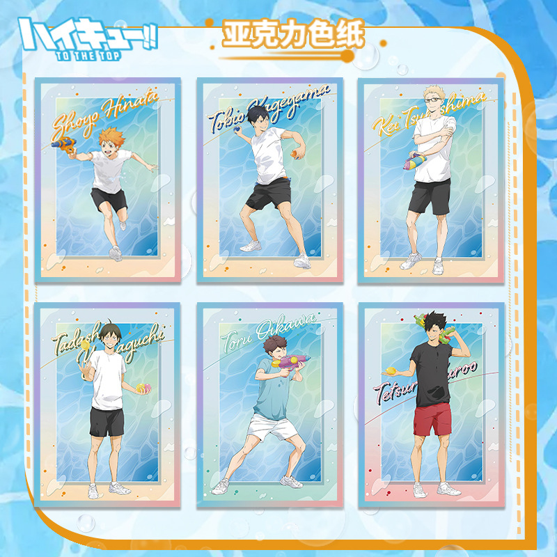 Haikyuu Volleybal Anime Acryl  - Anime Merchandise Haikyuu recensie en prijs