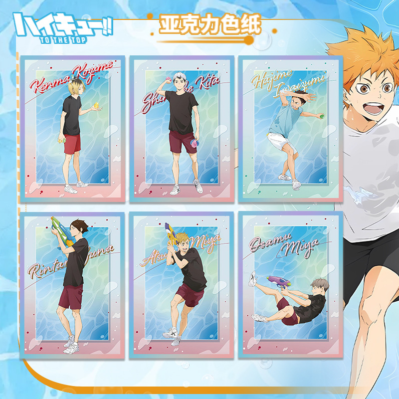 Haikyuu Volleybal Anime Acryl  - Anime Merchandise Haikyuu recensie en prijs