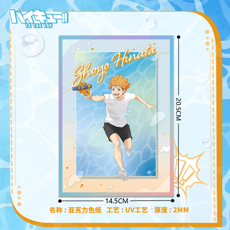 Haikyuu Volleybal Anime Acryl  - Anime Merchandise Haikyuu recensie en prijs