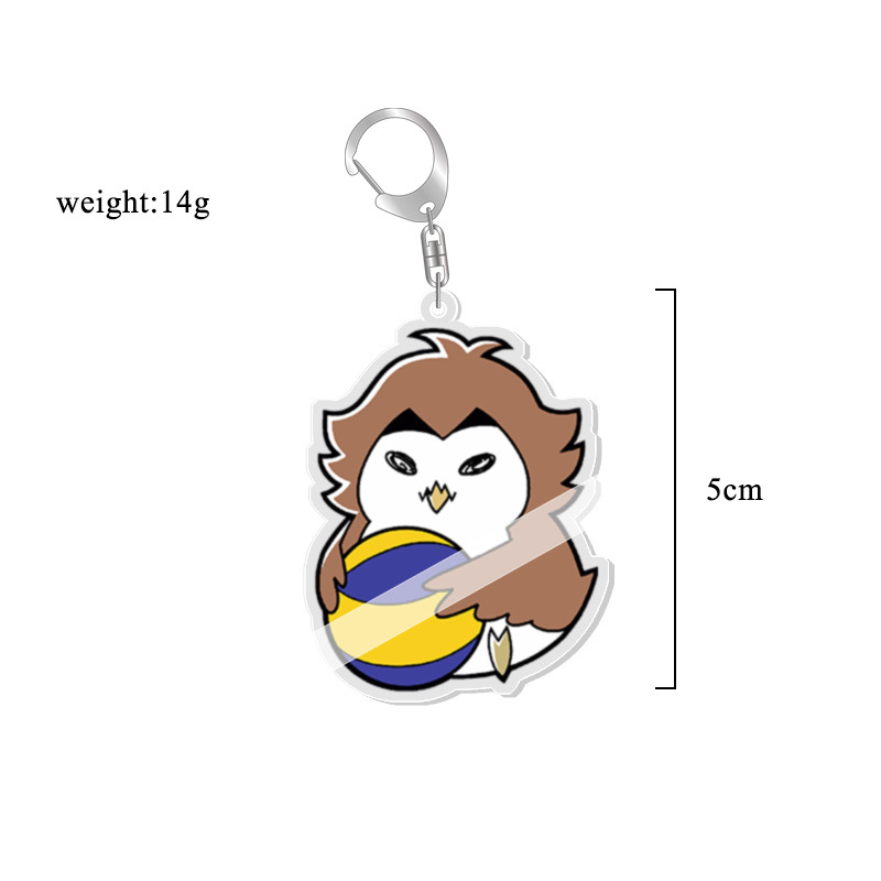Volleybal Haikyuu Acryl Sleute - Anime Merchandise Haikyuu recensie en prijs