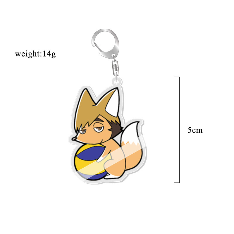 Volleybal Haikyuu Acryl Sleute - Anime Merchandise Haikyuu recensie en prijs